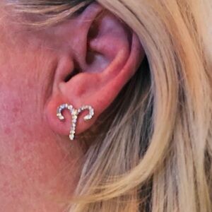 💜3/$30 Horoscope Aries The Ram Clear crystal earrings